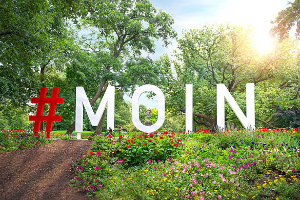 Moin